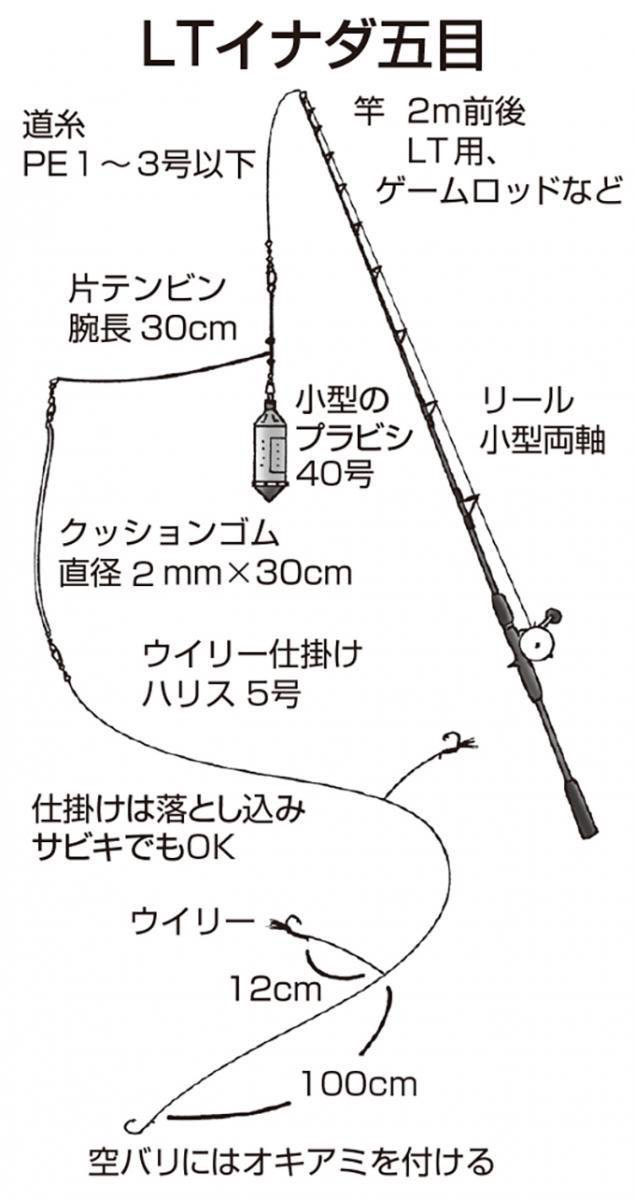 釣り情報 葉山町一色海岸